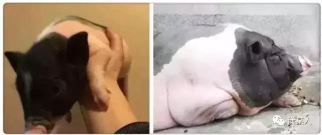 有一种审美,叫男友送的礼物