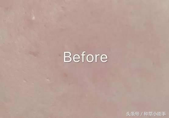 混干皮资生堂气垫和阿玛尼,阿玛尼气垫好还是资生堂的好