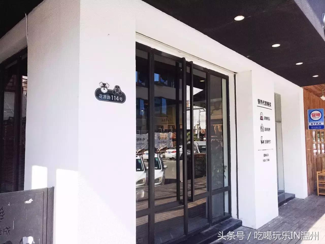 爱狗如命的女孩是什么心理,爱狗如命的女主角