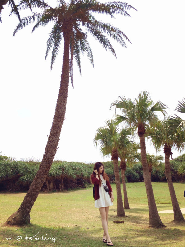 去台湾有哪些好玩的地方啊,去台湾玩有什么好玩的