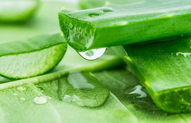 补水面膜懒人面膜,面膜自己做的方法如下