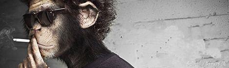 好程序员python第186讲,java开发常用四大框架