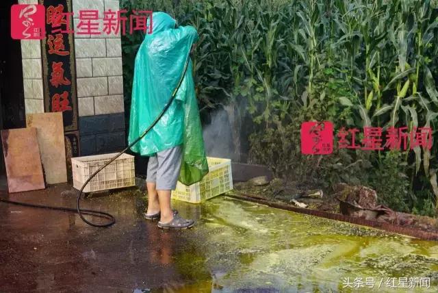 真相调查:文玩核桃再步玛卡后尘?从几万元一对到5元没人要?