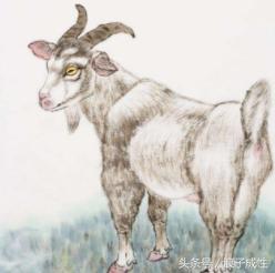 十二生肖文化国内外研究现状,十二生肖文化普及宣传央视