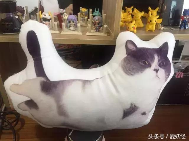 Todayis七夕，这盆狗粮爱妖经替你验过，放心吃吧