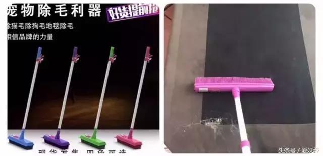 Todayis七夕，这盆狗粮爱妖经替你验过，放心吃吧