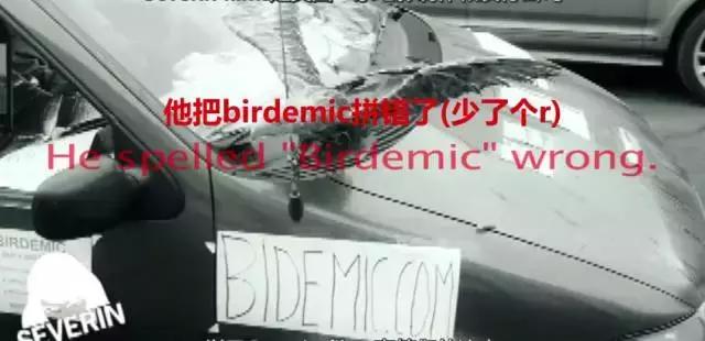 有的电影你嘴里说恨,身体却欲罢不能