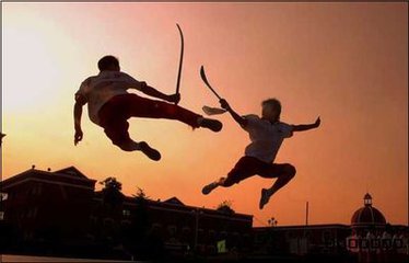 中国武术风采视频,中国武术展现的淋漓尽致