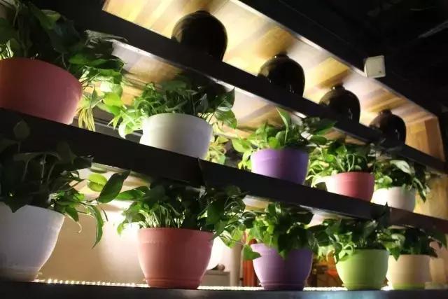 那些年的我们主题餐厅,那些年我们的青年餐厅