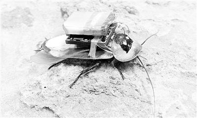 宇宙最小的物质是弦吗,宇宙中最小的物质弦是什么