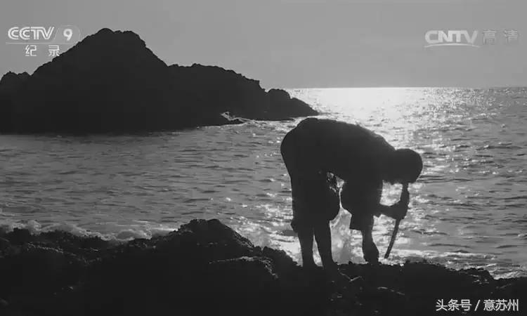 舌尖上的中国之麻辣小海鲜,舌尖上的中国小海鲜