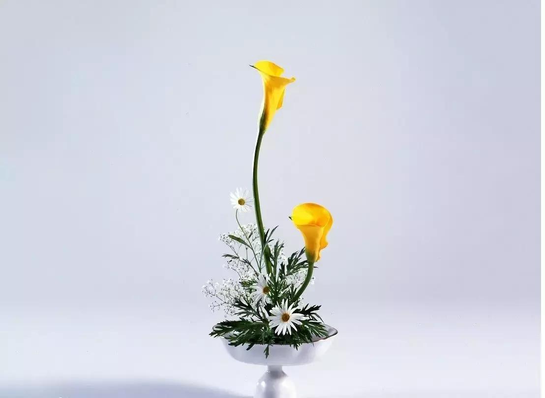 论花艺，不得不服日本