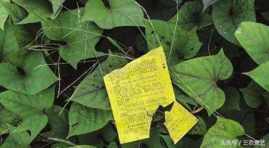 这种白色晶体弄碎了用，称为“百味之祖”,还能当药！