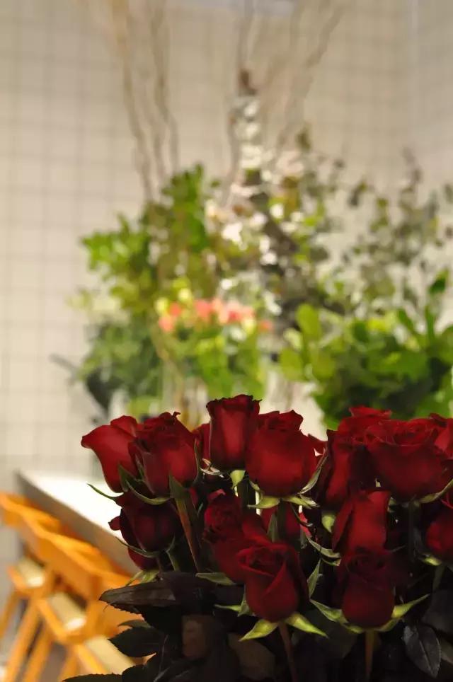 七夕节叫你送花你就去拿吧,微信公众号送花怎么弄