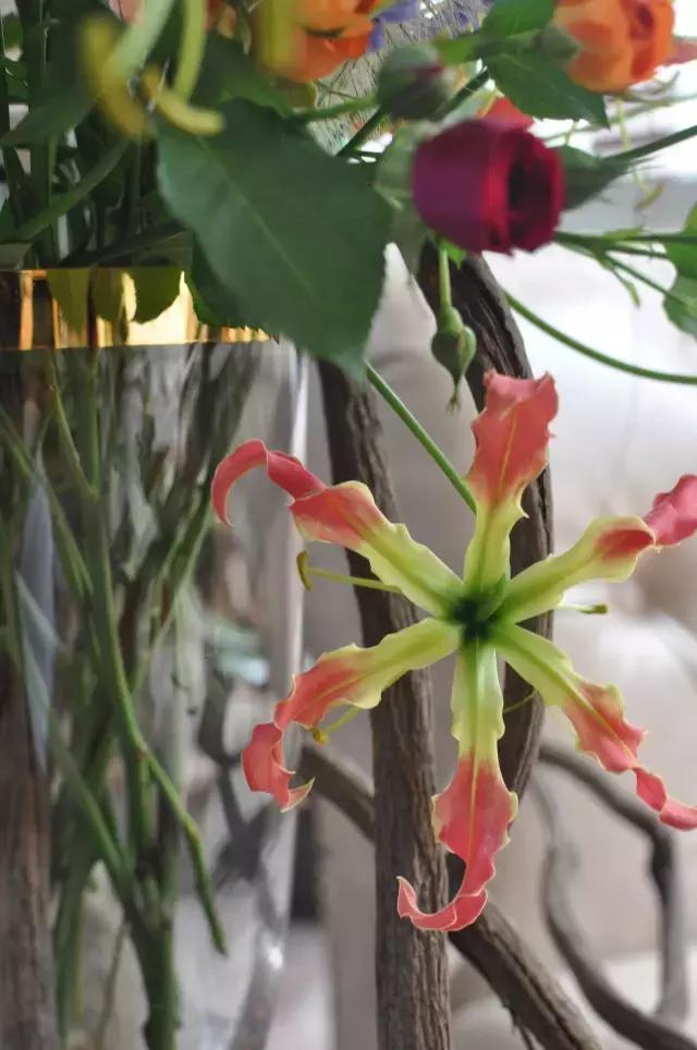 七夕节叫你送花你就去拿吧,微信公众号送花怎么弄