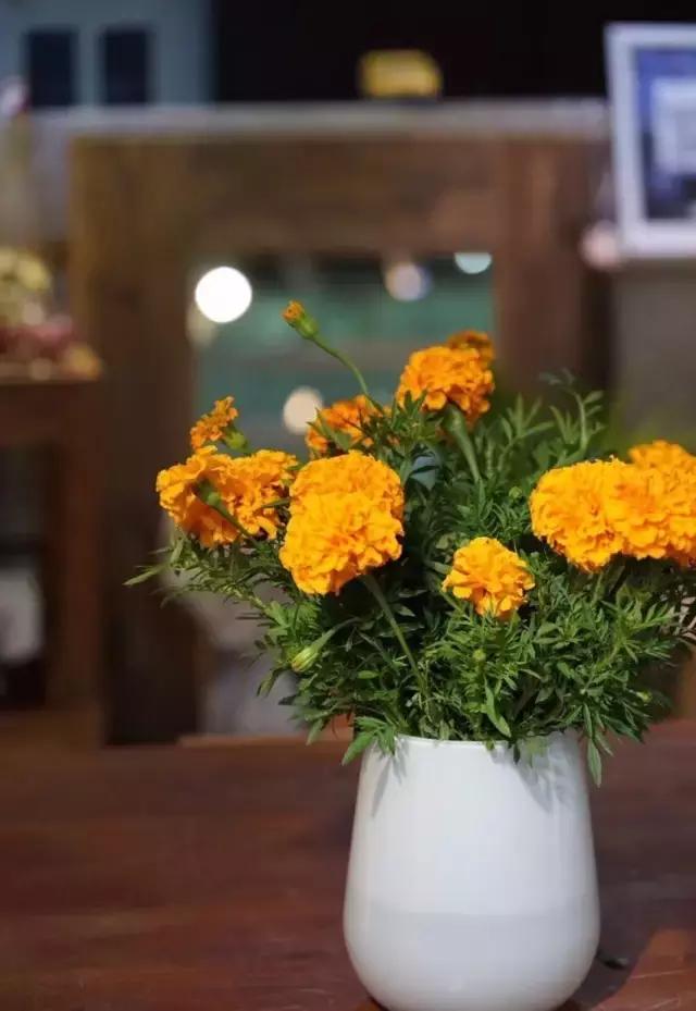 七夕节叫你送花你就去拿吧,微信公众号送花怎么弄