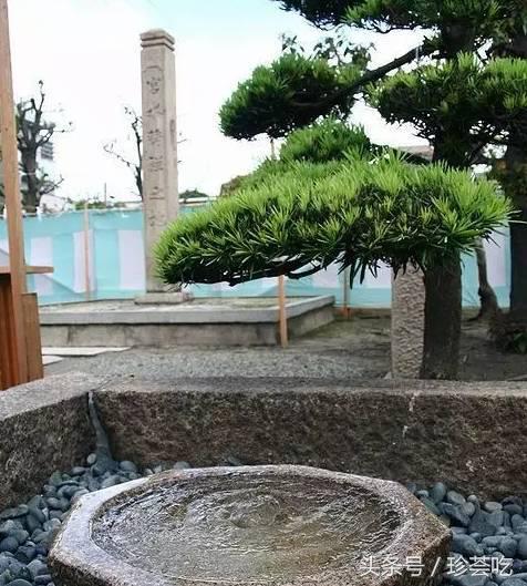 喜欢吃日料好不好,喜欢吃日料的人生感悟