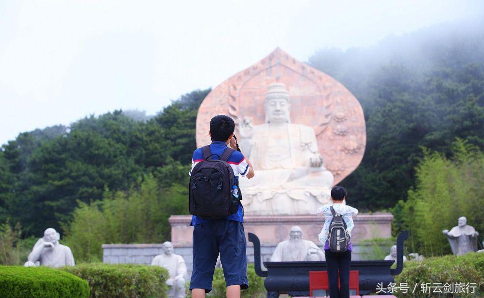 荣成烟墩角天鹅拍摄机位,世界最大天鹅