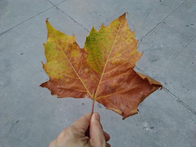 荣耀畅玩平板2评测视频,荣耀畅玩平板2太卡了怎么处理