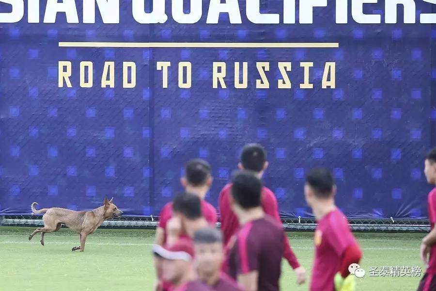 里皮观战世预赛,里皮封神之战