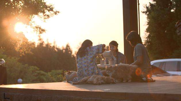 真正的孝利家民宿,孝利家民宿必买清单