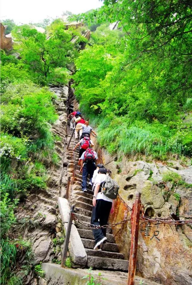 趁着开学季,顺便带爸妈来华山吧!