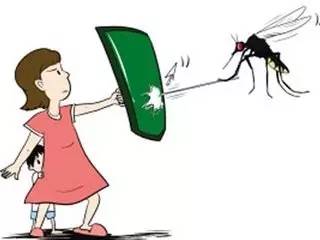 宝宝被蚊子叮咬感染登革热，这几天仅杭州地区就爆发100多病例