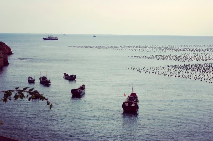 嵊泗岛哪里海景最美,嵊泗群岛最美的岛