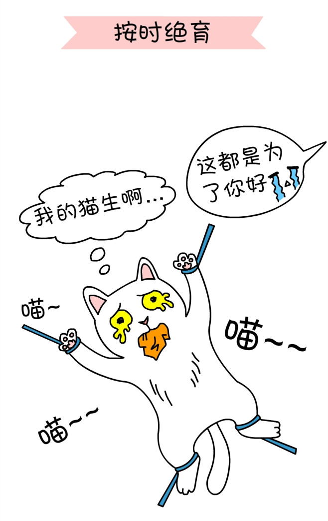 关于一个铲屎官和四只猫的漫画,铲屎官照顾猫的漫画