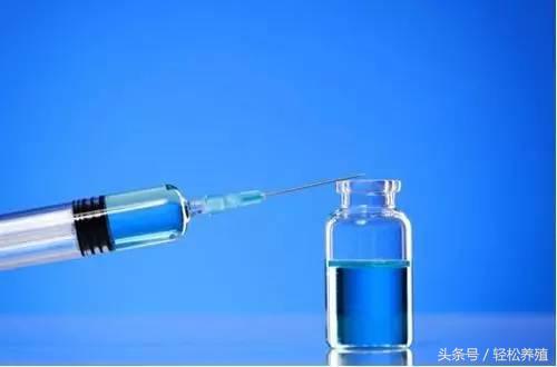 每种细菌性疾病都有一款特效药专克它，这篇文章讲全了