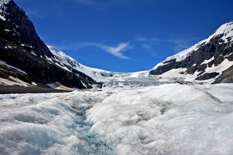 这个「全球宜居城市」已被中国人占领,“不学中文就找不到工作”