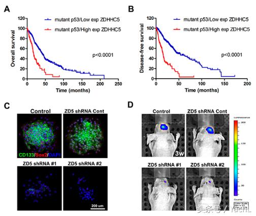 茁乐奥马珠单抗治疗哮喘的费用,茁乐抗过敏新药