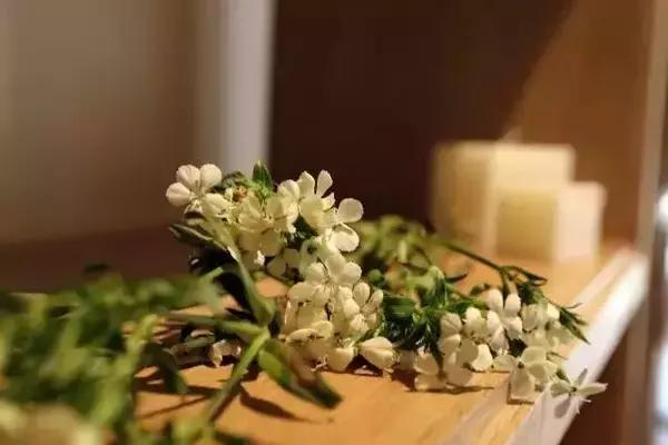 乌镇西栅里最美的民宿,乌镇西栅里的民宿