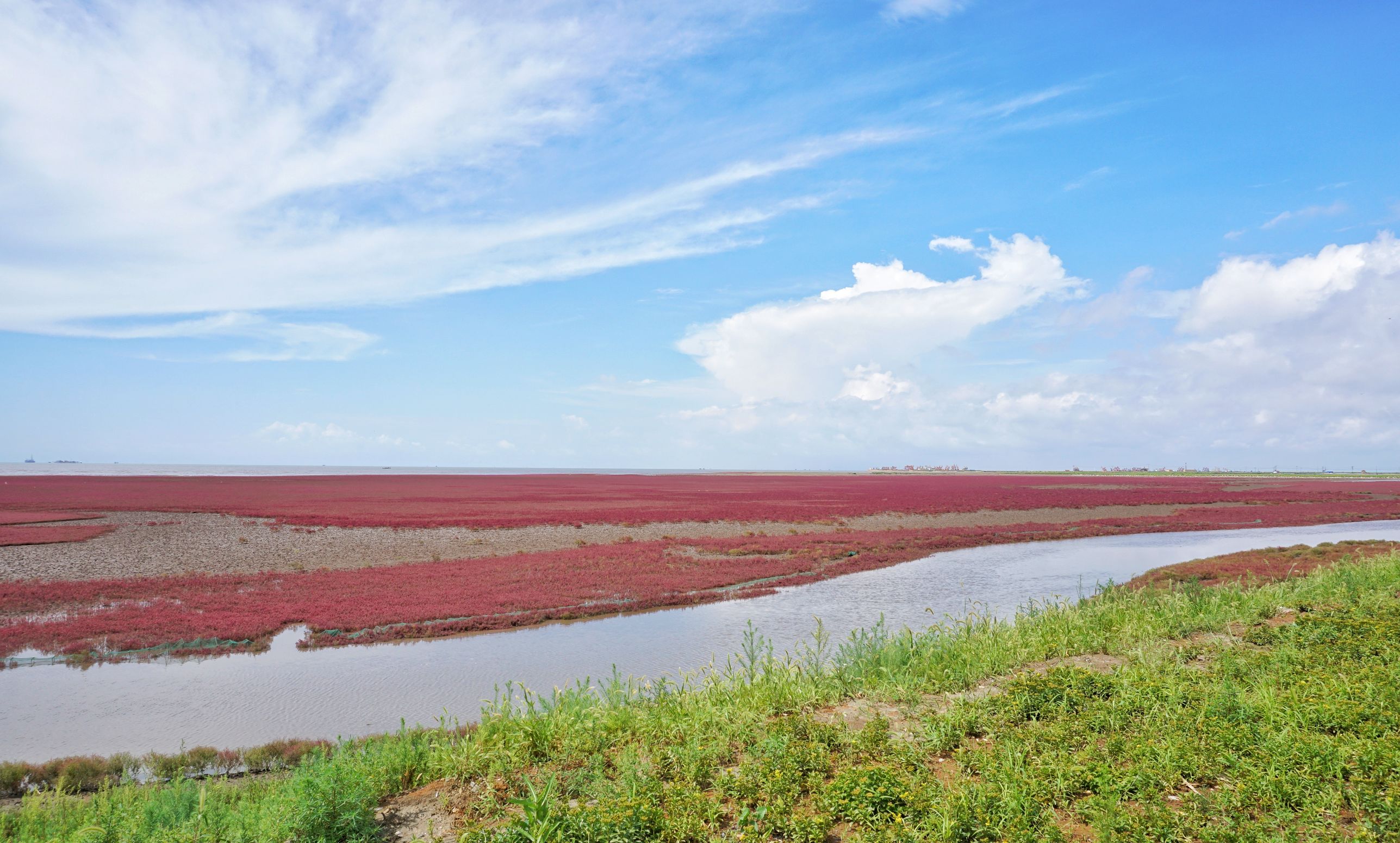 他说他想去看北方的海，我说“好”！