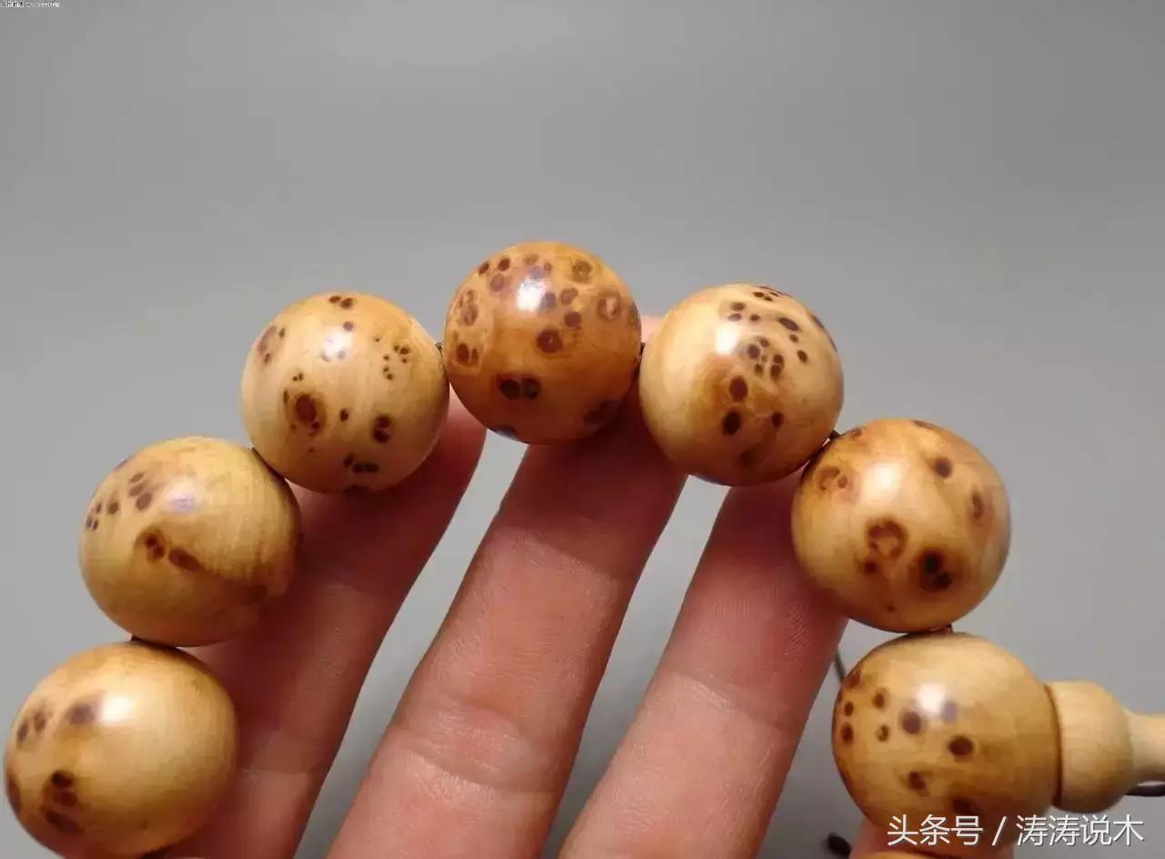 崖柏护理方法,崖柏保护条例