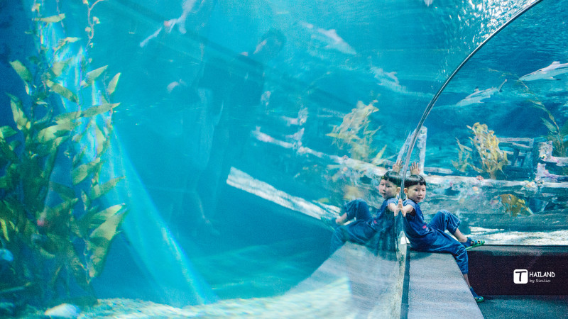 回忆那年在泰国踏浪看海,带你一起去泰国看海