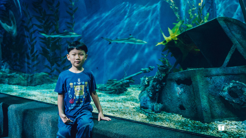 回忆那年在泰国踏浪看海,带你一起去泰国看海