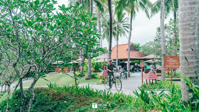 回忆那年在泰国踏浪看海,带你一起去泰国看海