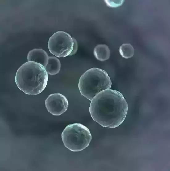 在宇宙的年历中，我们的存在连半秒钟都不到！