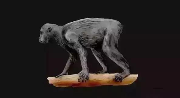 在宇宙的年历中，我们的存在连半秒钟都不到！