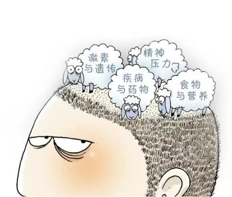 植发真的有用吗现在很多植发医院,植发医院真的能治好脱发吗