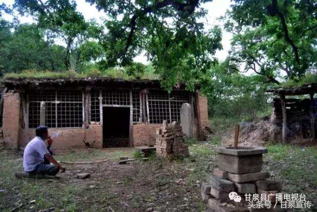 延安甘泉大峡谷桦树沟图片,甘泉雨岔大峡谷桦树沟玩多长时间