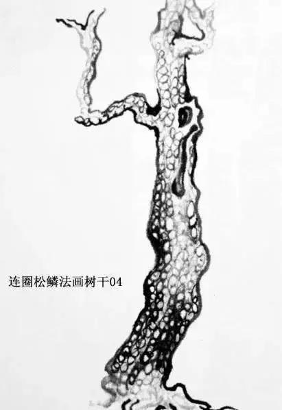 最简单的树干画法,树干的简便画法