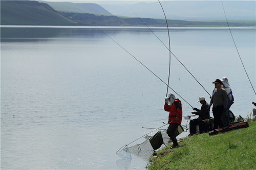 对于网箱养殖的鱼不下底该怎么钓,网箱钓什么鱼最好