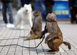 你离犯罪有多近,当你走在犯罪的路上