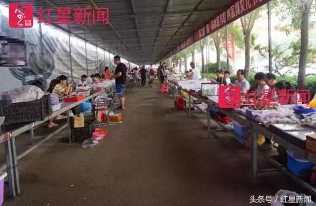 真相调查:文玩核桃再步玛卡后尘?从几万元一对到5元没人要?