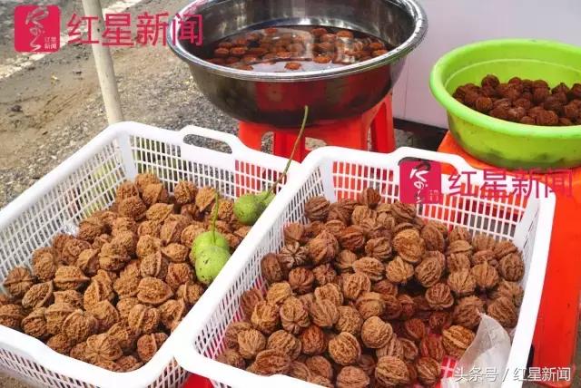 真相调查:文玩核桃再步玛卡后尘?从几万元一对到5元没人要?