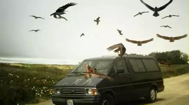 有的电影你嘴里说恨,身体却欲罢不能