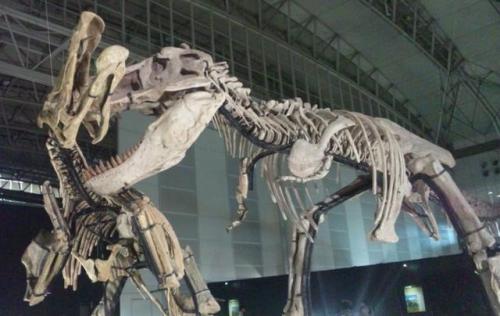 中国有哪些神奇的地方,中国有恐龙的地方