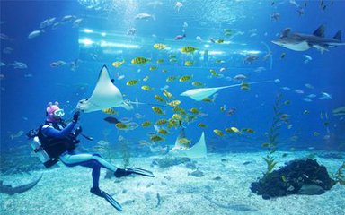 济州岛旅游必用韩语,一句韩语不会说怎么去韩国